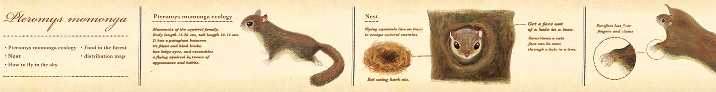 mt ex encyclopedia flying squirrel